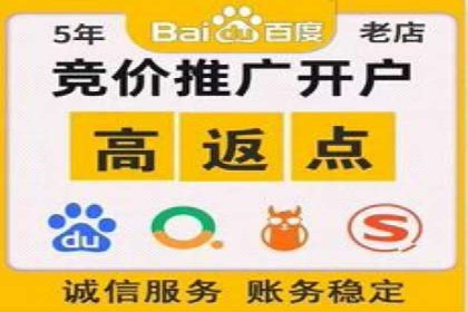 百度竞价赚钱的实战案例分析